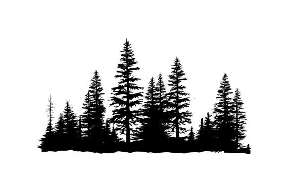 Download Vintage Pine Trees, Forest Silhouette - Premium Resources
