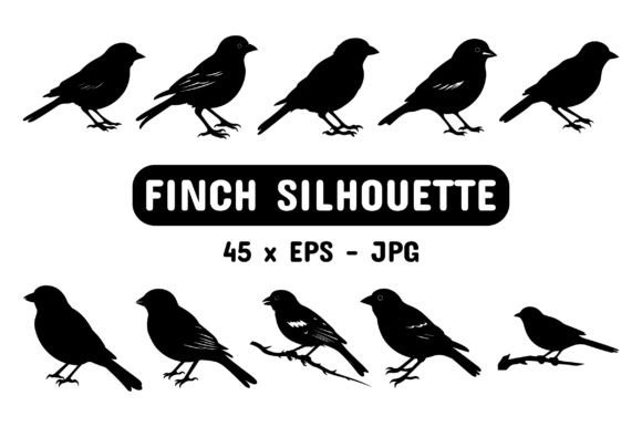 Download Finch Silhouette Set Collection Bundle - Silhouette Collection