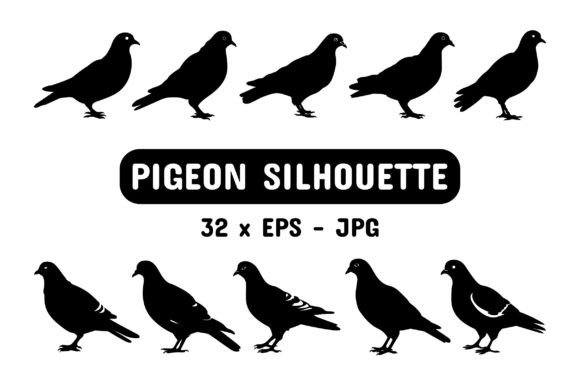 Download Pigeon Silhouette Set Collection Bundle - Silhouette Collection